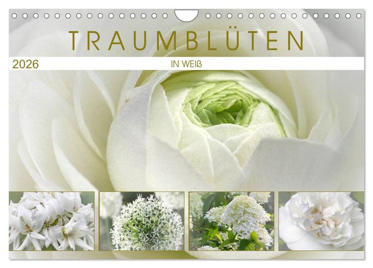 Produktbild: Traumbl&uuml;ten in Wei&szlig; (Wandkalender 2026 DIN A4 quer), CALVENDO Monatskalender