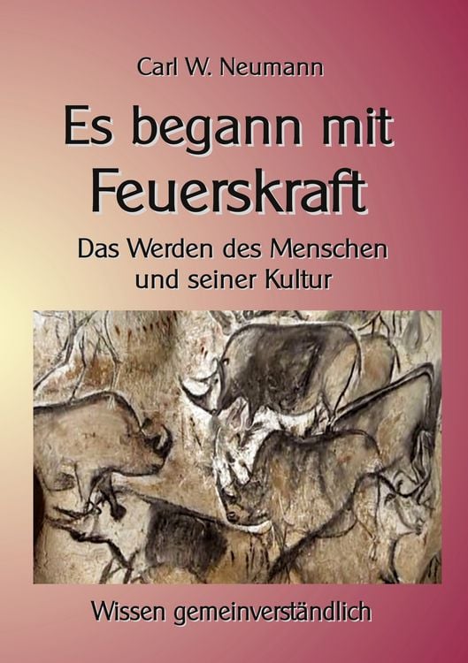 Produktbild: Es begann mit Feuerskraft