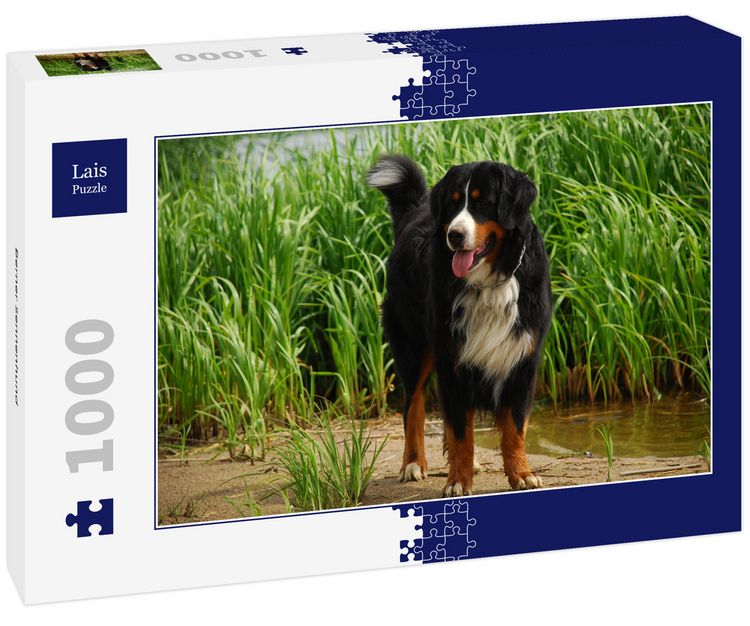 Produktbild: Lais Puzzle Berner Sennenhund 1000 Teile
