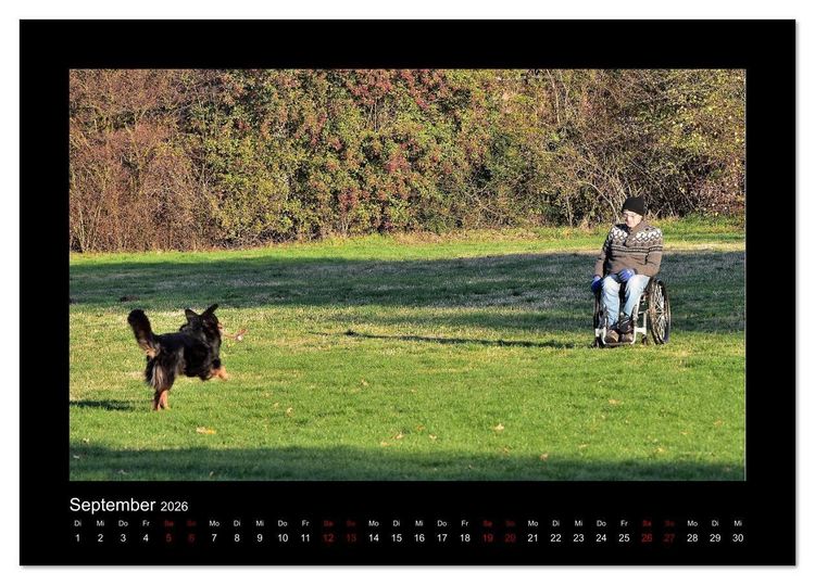 Produktbild: Der Hovawart... Dein Freund f&uuml;rs Leben ! (Tischkalender 2026 DIN A5 quer), CALVENDO Monatskalender