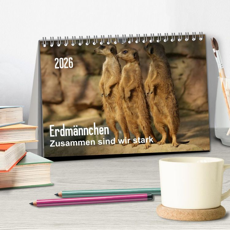 Produktbild: Erdm&auml;nnchen &ndash; Zusammen sind wir stark / CH-Version (Tischkalender 2026 DIN A5 quer), CALVENDO Monatskalender
