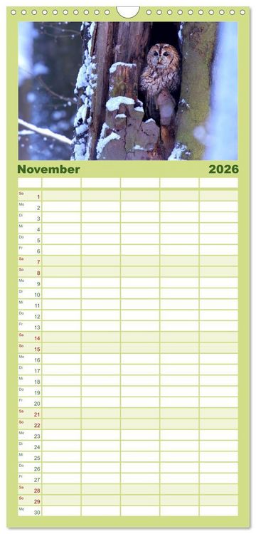 Produktbild: Familienplaner 2026 - geliebte Waldgeister mit 5 Spalten (Wandkalender, 21 x 45 cm) CALVENDO