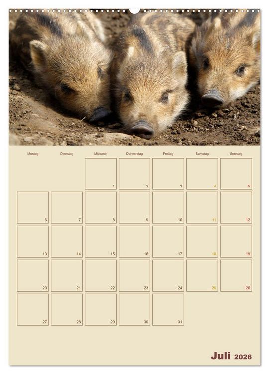 Produktbild: Wildschweine (hochwertiger Premium Wandkalender 2026 DIN A2 hoch), Kunstdruck in Hochglanz