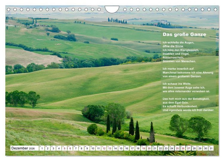 Produktbild: Stehen wie ein Baum (Wandkalender 2026 DIN A4 quer), CALVENDO Monatskalender