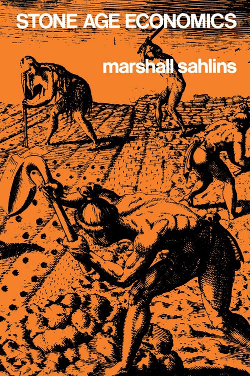 Produktbild: Stone Age Economics