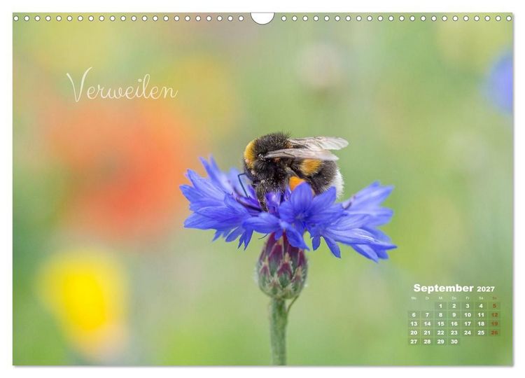 Produktbild: Bl&uuml;ten,Fl&uuml;gel und Gedanken &ndash; Ein Jahr in Bildern und Worten (Wandkalender 2027 DIN A3 quer), CALVENDO Monatskalender