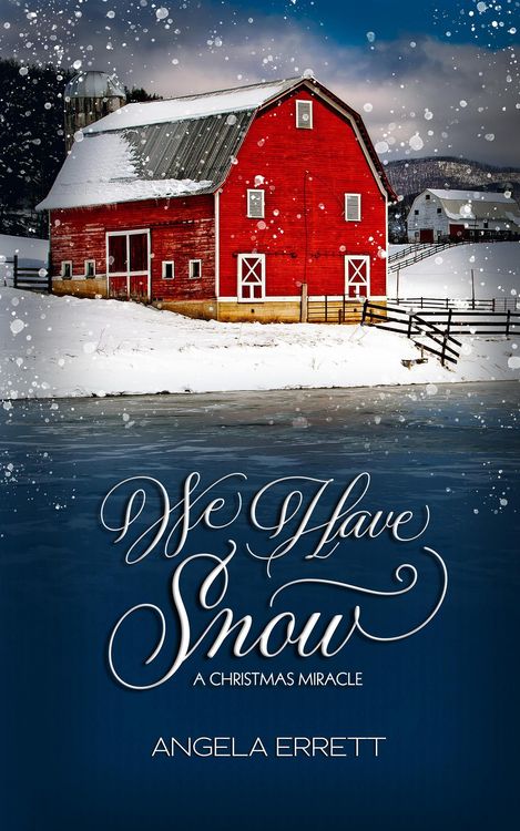 Produktbild: We Have Snow: A Christmas Miracle