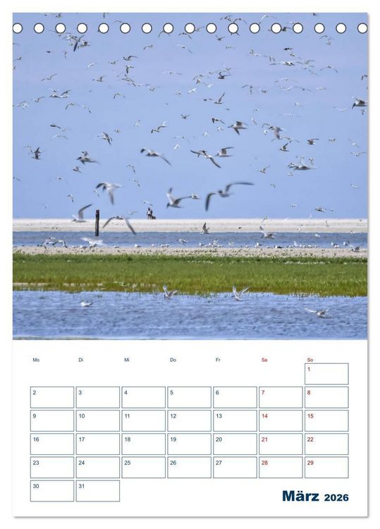 Produktbild: Texel - Momente die verzaubern (Tischkalender 2026 DIN A5 hoch), CALVENDO Monatskalender
