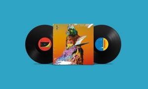 Produktbild: Palaces (2LP)