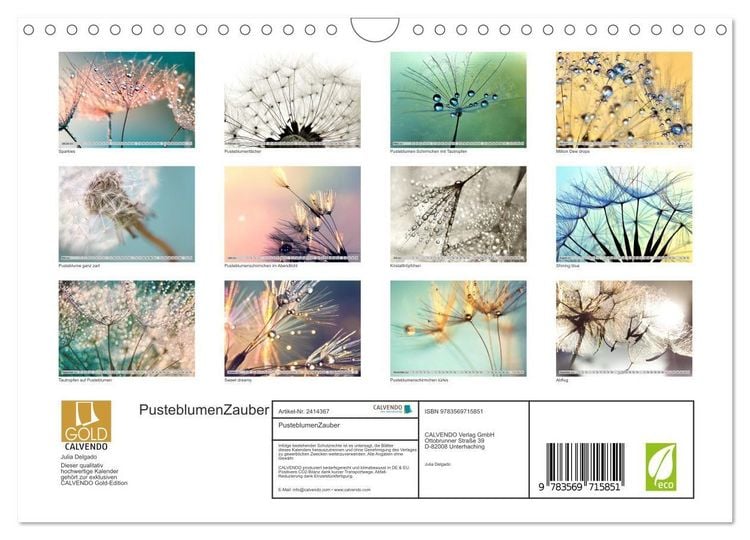 Produktbild: PusteblumenZauber (Wandkalender 2027 DIN A4 quer), CALVENDO Monatskalender