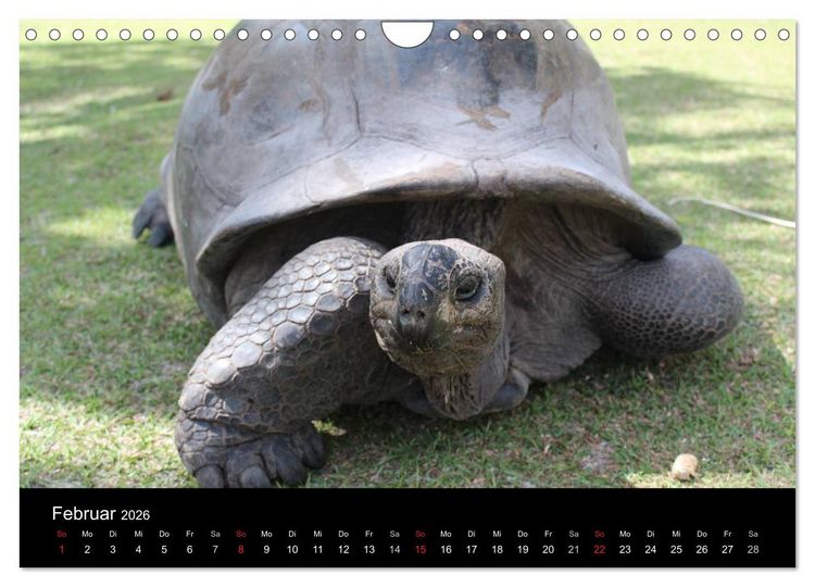 Produktbild: Seychellen (Wandkalender 2026 DIN A4 quer), CALVENDO Monatskalender