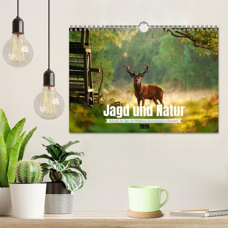 Produktbild: Jagd und Natur - Kalender f&uuml;r J&auml;ger mit Wildtieren Deutschlands im Jahreslauf (Wandkalender 2026 DIN A4 quer), CALVENDO Monatskalender