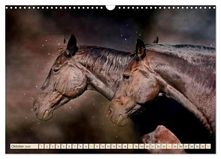 Produktbild: Eleganz und Sch&ouml;nheit - Pferde (Wandkalender 2026 DIN A3 quer), CALVENDO Monatskalender