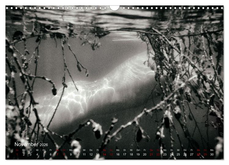Produktbild: FREIWASSERLUST (Wandkalender 2026 DIN A3 quer), CALVENDO Monatskalender
