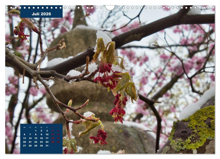 Produktbild: Winterstimmungen in Deutschland (Wandkalender 2026 DIN A3 quer), CALVENDO Monatskalender
