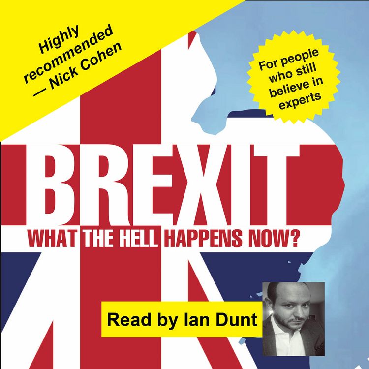 Produktbild: Brexit: What the Hell Happens Now?