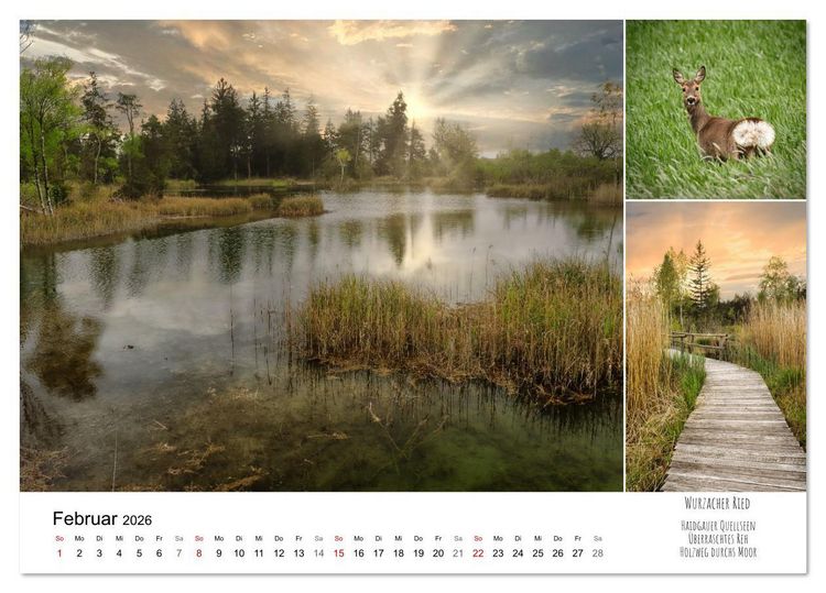 Produktbild: Schwabens Riede und Moore (Tischkalender 2026 DIN A5 quer), CALVENDO Monatskalender