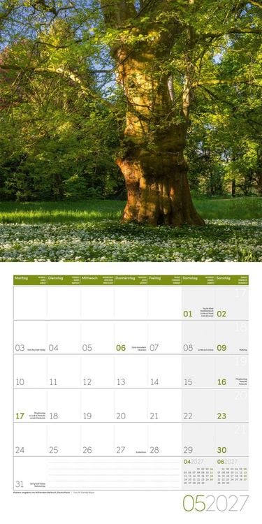 Produktbild: B&auml;ume Kalender 2027 - 30x30 - Art12