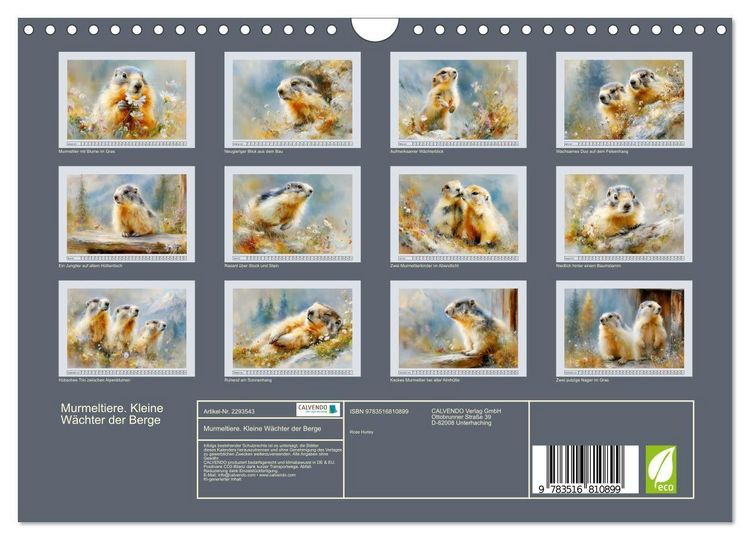 Produktbild: Murmeltiere. Kleine W&auml;chter der Berge (Wandkalender 2027 DIN A4 quer), CALVENDO Monatskalender