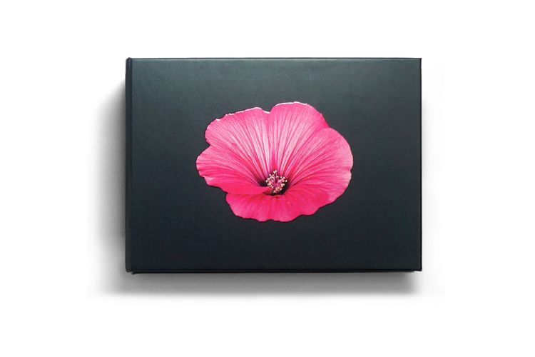 Produktbild: The Blooming Book