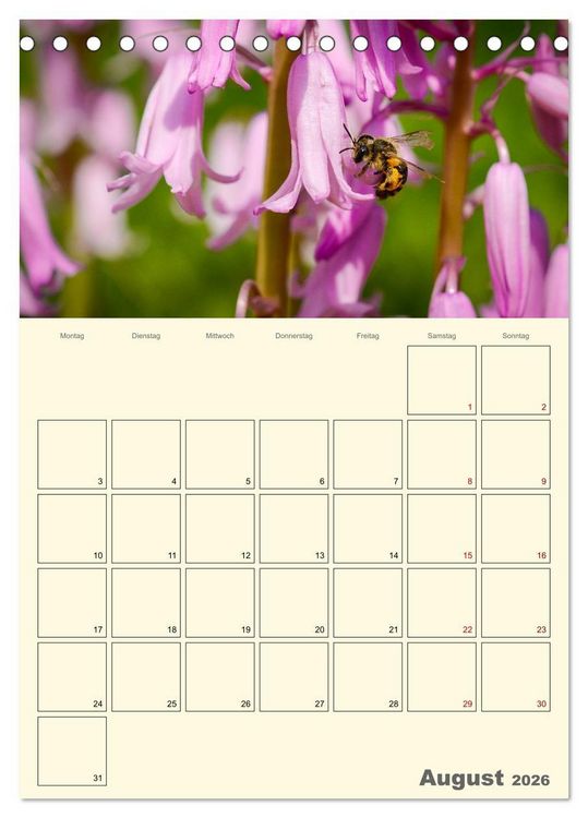 Produktbild: Bienen im Naturgarten (Tischkalender 2026 DIN A5 hoch), CALVENDO Monatskalender