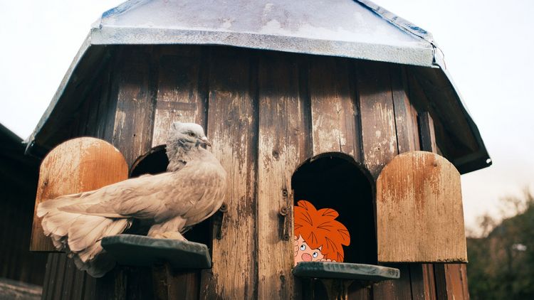Produktbild: Pumuckl und das grosse Missverst&auml;ndnis