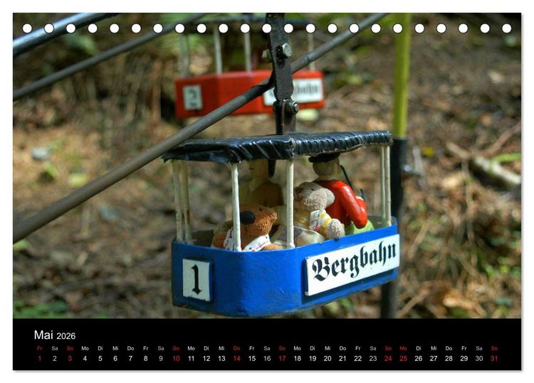 Produktbild: Der B&auml;rchenkalender 2026 (Tischkalender 2026 DIN A5 quer), CALVENDO Monatskalender