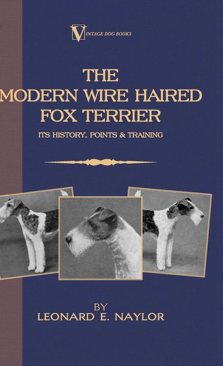 Produktbild: The Modern Wire Haired Fox Terrier - Its History, Points & Training (A Vintage Dog Books Breed Classic)