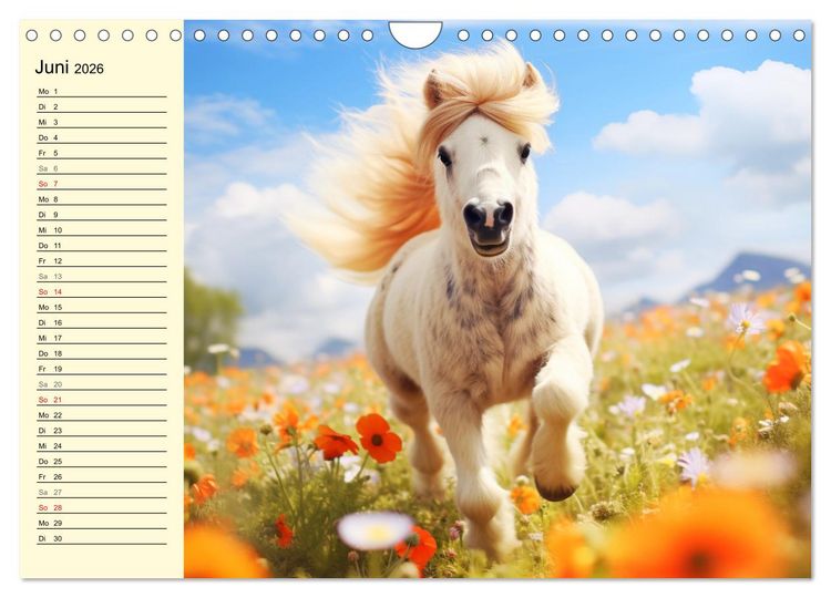 Produktbild: Kleine Pferde. Mini-Ponys zum verlieben (Wandkalender 2026 DIN A4 quer), CALVENDO Monatskalender