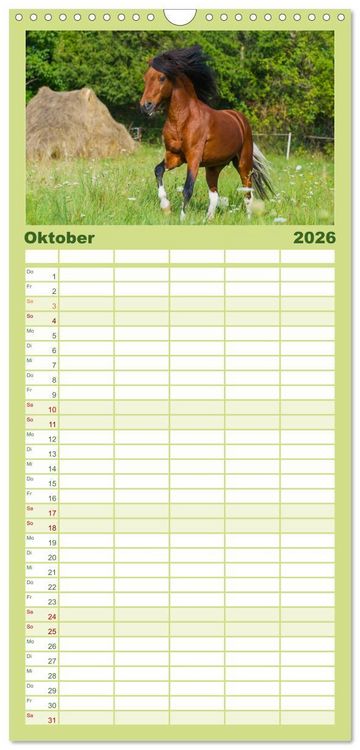 Produktbild: Familienplaner 2026 - Welt der Pferde mit 5 Spalten (Wandkalender, 21 x 45 cm) CALVENDO