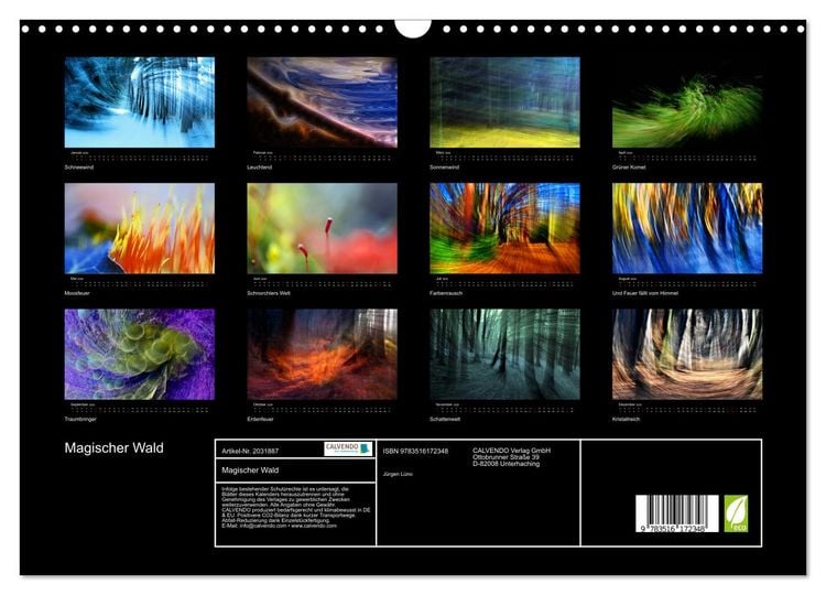 Produktbild: Magischer Wald (Wandkalender 2026 DIN A3 quer), CALVENDO Monatskalender