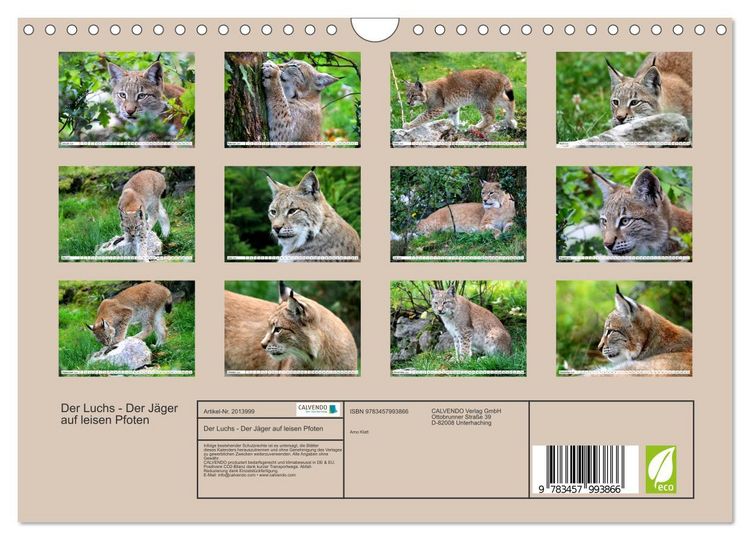 Produktbild: Der Luchs - Der J&auml;ger auf leisen Pfoten (Wandkalender 2026 DIN A4 quer), CALVENDO Monatskalender