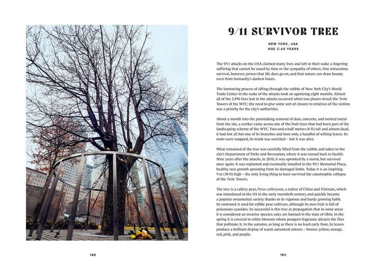 Produktbild: The History Trees