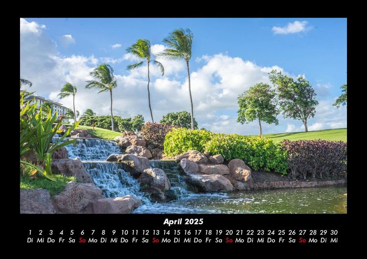 Produktbild: Palmentraum 2025 Fotokalender DIN A3