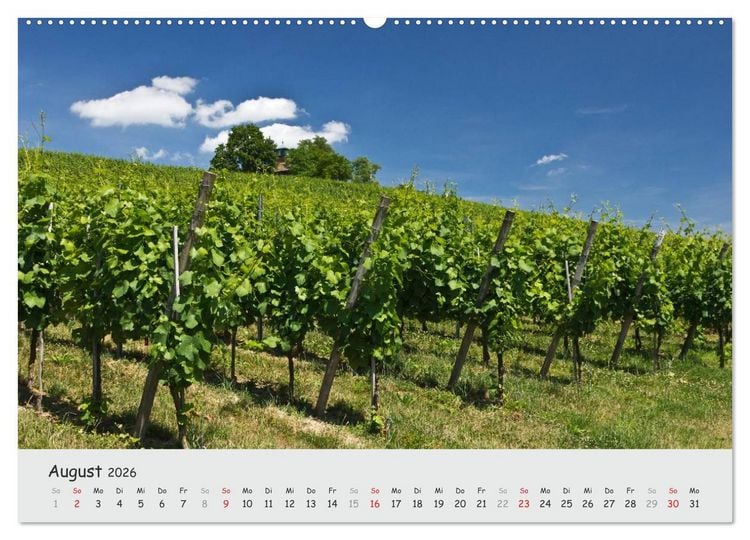 Produktbild: Insel Reichenau - Klosterinsel im Bodensee (hochwertiger Premium Wandkalender 2026 DIN A2 quer), Kunstdruck in Hochglanz