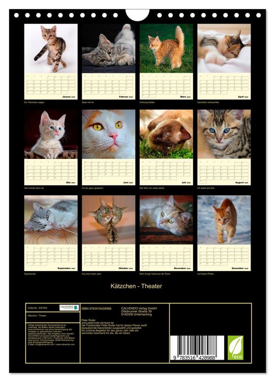 Produktbild: K&auml;tzchen - Theater (Wandkalender 2026 DIN A4 hoch), CALVENDO Monatskalender