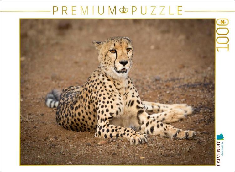 Produktbild: CALVENDO Puzzle Gepard, Botswana 2017 | 1000 Teile Lege-Gr&ouml;&szlig;e 64x48cm Foto-Puzzle f&uuml;r gl&uuml;ckliche Stunden