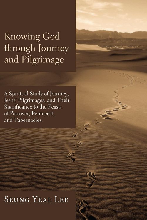 Produktbild: Knowing God through Journey and Pilgrimage