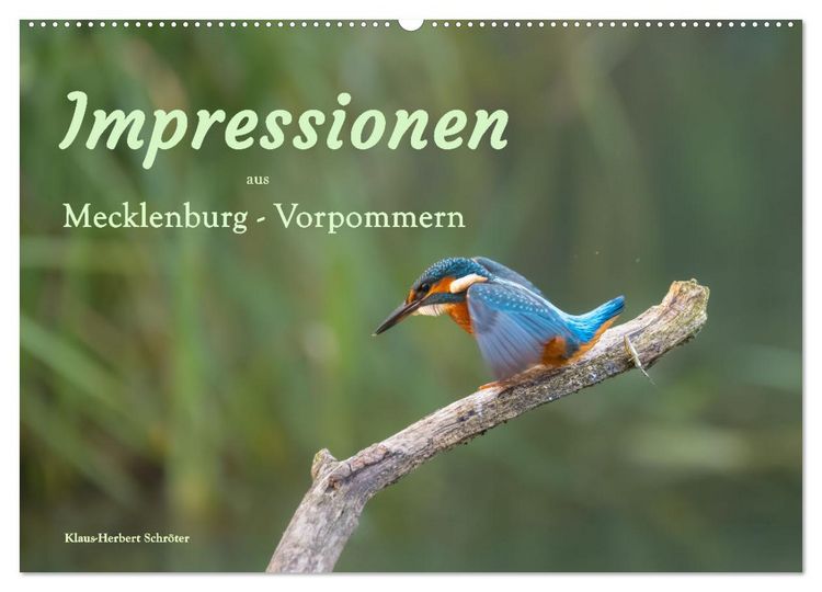 Produktbild: Impressionen aus Mecklenburg - Vorpommern (Wandkalender 2026 DIN A2 quer), CALVENDO Monatskalender