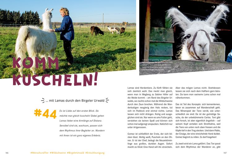 Produktbild: 52 kleine & gro&szlig;e Eskapaden am Niederrhein