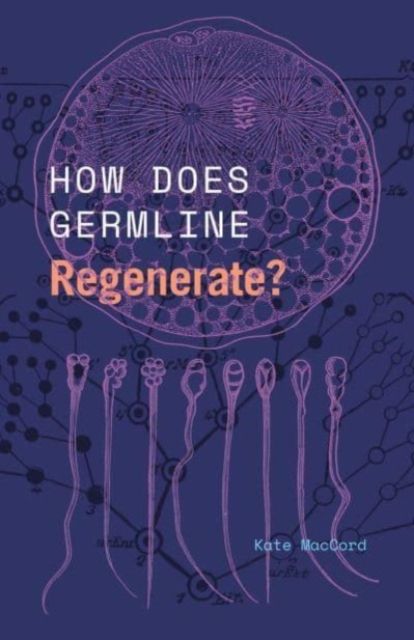 Produktbild: How Does Germline Regenerate?