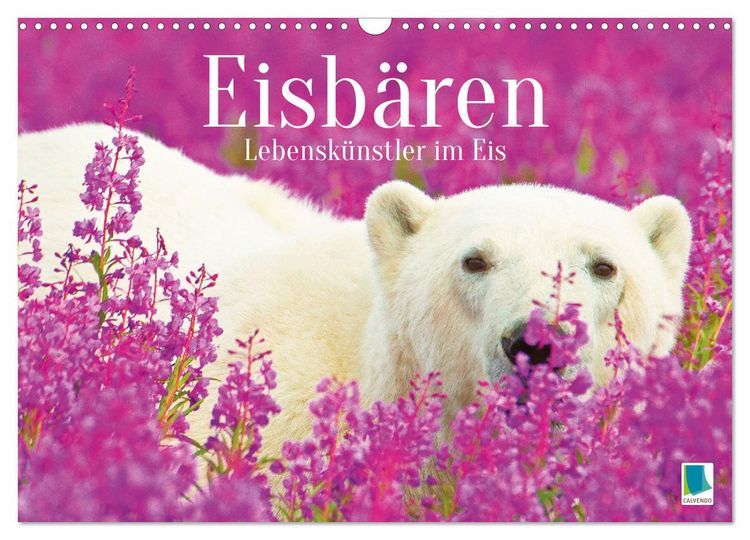 Produktbild: Eisb&auml;ren: Lebensk&uuml;nstler im Eis (Wandkalender 2026 DIN A3 quer), CALVENDO Monatskalender