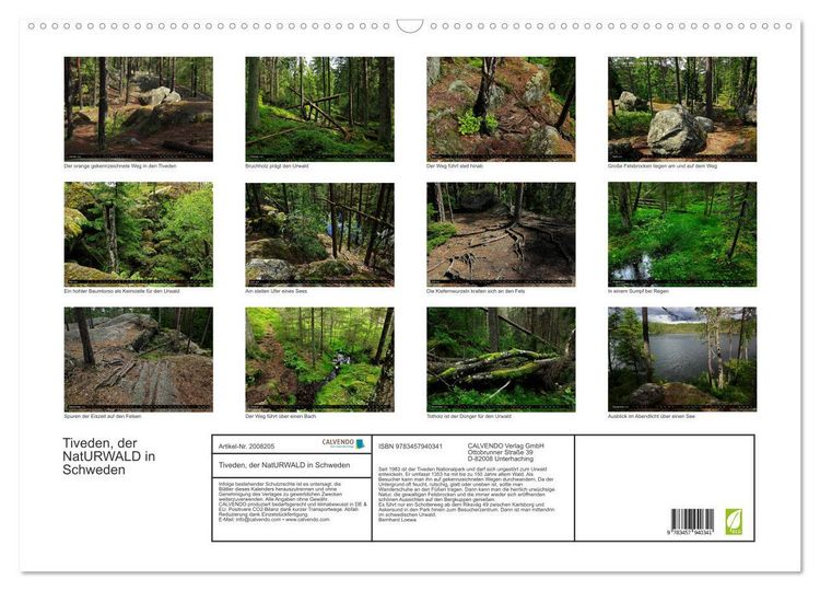 Produktbild: Tiveden, der NatURWALD in Schweden (Wandkalender 2026 DIN A2 quer), CALVENDO Monatskalender
