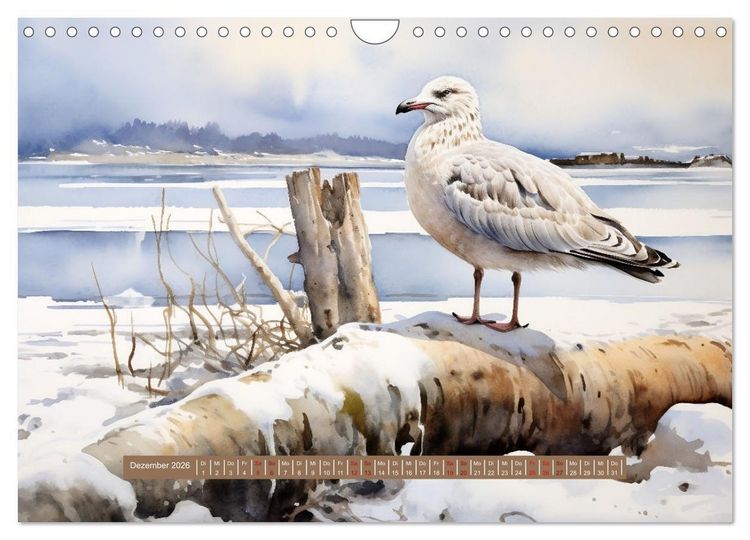 Produktbild: Urlaubszeit an der malerischen Nordseek&uuml;ste (Wandkalender 2026 DIN A4 quer), CALVENDO Monatskalender