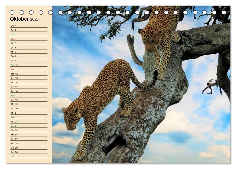 Produktbild: Verr&uuml;ckt nach Safari Verr&uuml;ckt nach Abenteuer in Kenia (Tischkalender 2026 DIN A5 quer), CALVENDO Monatskalender