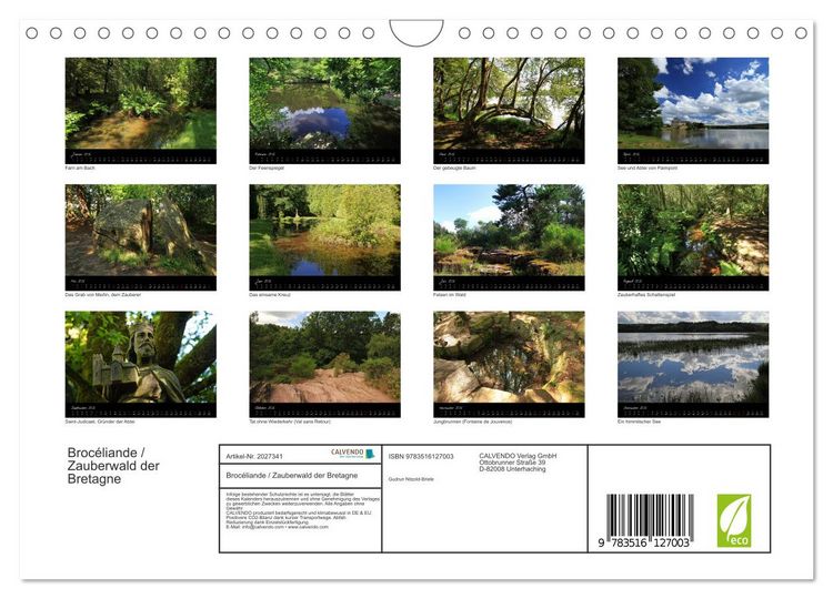 Produktbild: Broc&eacute;liande / Zauberwald der Bretagne (Wandkalender 2026 DIN A4 quer), CALVENDO Monatskalender