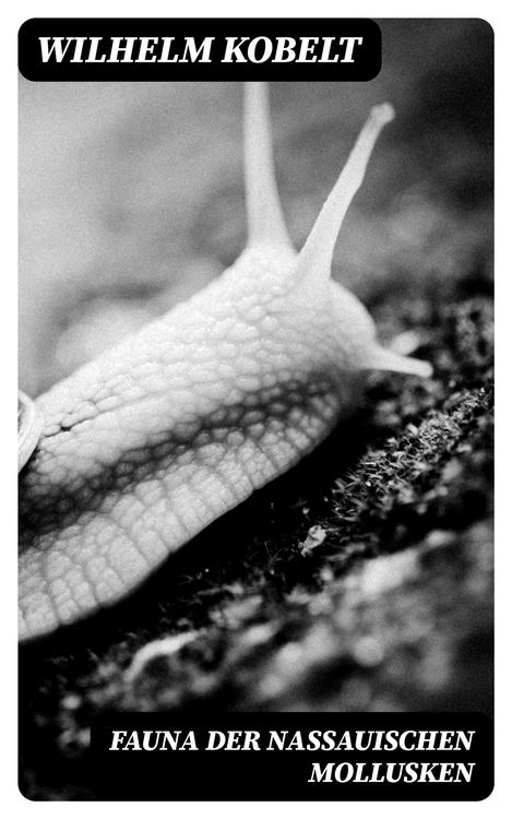 Produktbild: Fauna der Nassauischen Mollusken