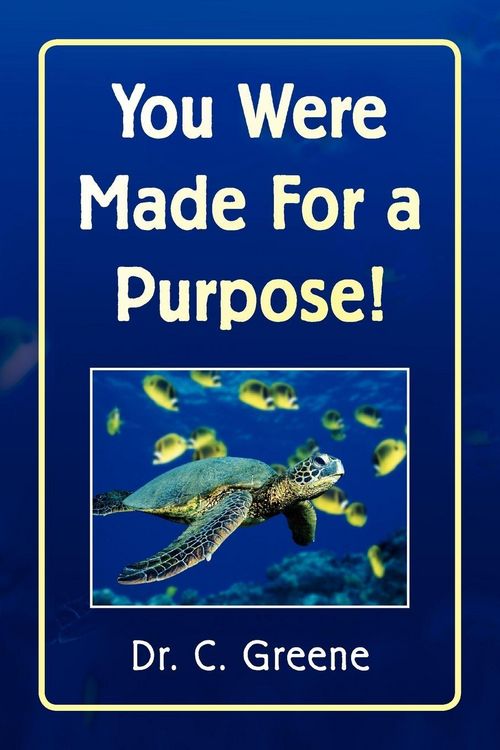 Produktbild: You Were Made for a Purpose!