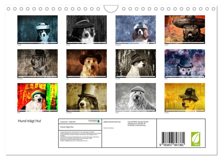 Produktbild: Hund tr&auml;gt Hut (Wandkalender 2026 DIN A4 quer), CALVENDO Monatskalender