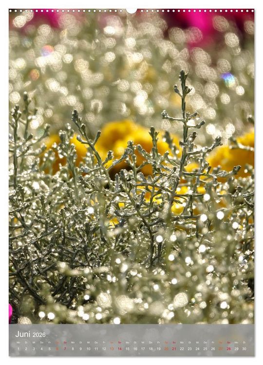 Produktbild: Mit Bokeh-Fotografie durch das Jahr (Wandkalender 2026 DIN A2 hoch), CALVENDO Monatskalender